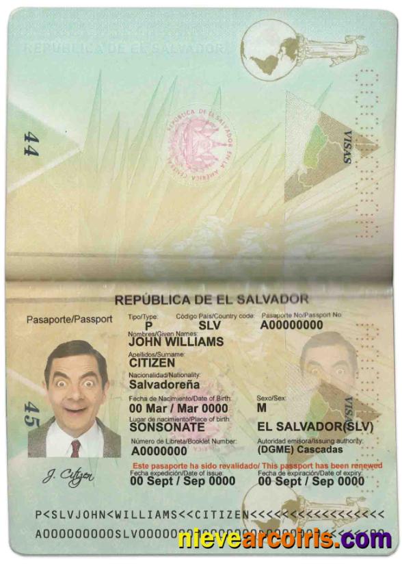 Salvador passport